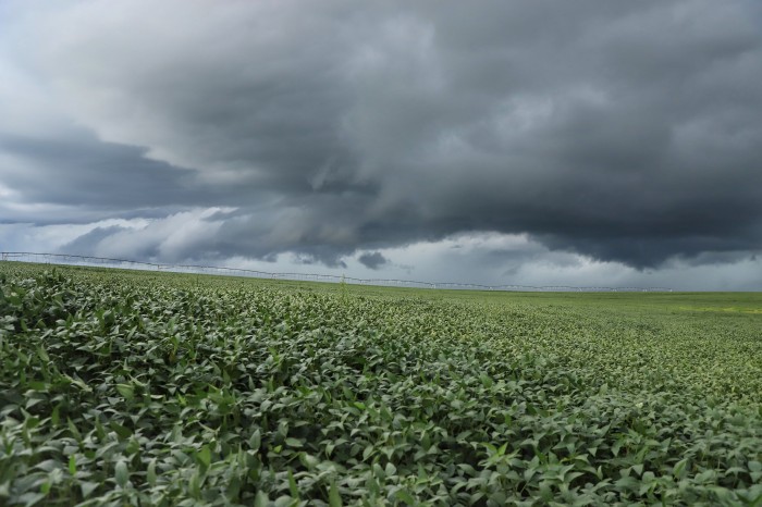 SDA entrega títulos de terra durante a Expoita - Secretaria do  Desenvolvimento Agrário